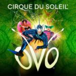 Cirque du Soleil – Ovo